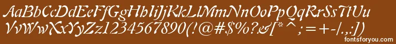フォントFreeform721ItalicBt – 茶色の背景に白い文字