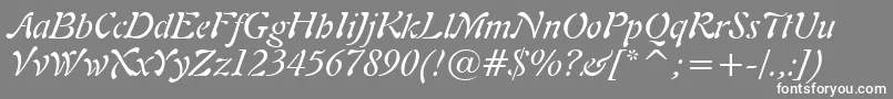 Freeform721ItalicBt-fontti – valkoiset fontit harmaalla taustalla