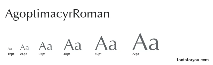 Размеры шрифта AgoptimacyrRoman