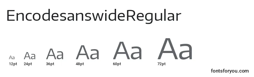 Размеры шрифта EncodesanswideRegular