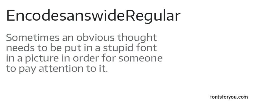 Review of the EncodesanswideRegular Font