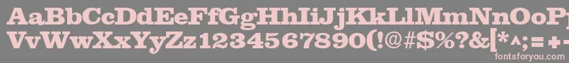 ClarendonebBold Font – Pink Fonts on Gray Background