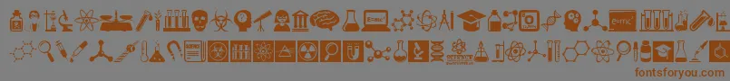 ScienceIcons Font – Brown Fonts on Gray Background