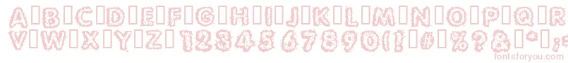 Carvings Font – Pink Fonts