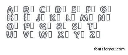 Review of the Carvings Font