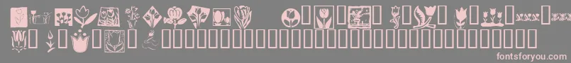 KrTulips Font – Pink Fonts on Gray Background