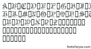 Royal Initialen font – Fonts For Initials