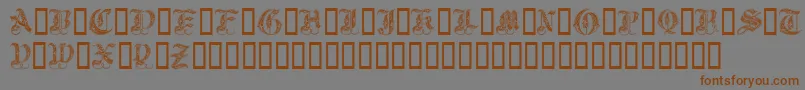 Royal Initialen Font – Brown Fonts on Gray Background