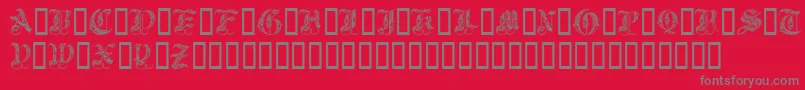Royal Initialen Font – Gray Fonts on Red Background