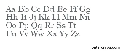 TypographyTimesRegular フォントのレビュー