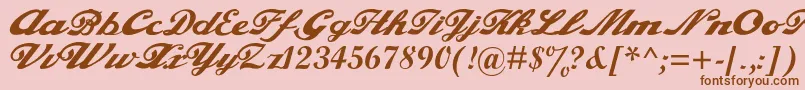 Alfaowner.ComScript Font – Brown Fonts on Pink Background