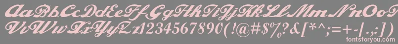 Alfaowner.ComScript-Schriftart – Rosa Schriften auf grauem Hintergrund