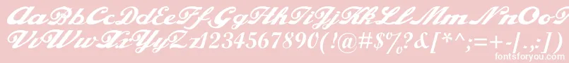 Alfaowner.ComScript Font – White Fonts on Pink Background