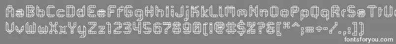 フォントPfMechanicaBProComb – 灰色の背景に白い文字