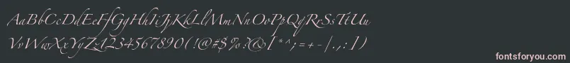 ZapfinoextraltOne Font – Pink Fonts on Black Background