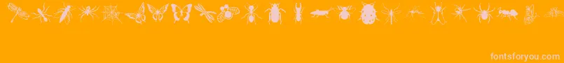 Lpinsects Font – Pink Fonts on Orange Background