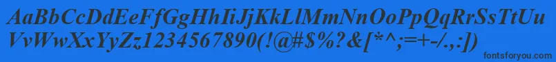 TimesNewRomanKoi8BoldItalic Font – Black Fonts on Blue Background