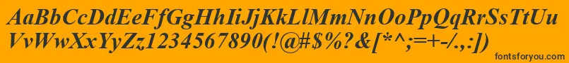 TimesNewRomanKoi8BoldItalic Font – Black Fonts on Orange Background