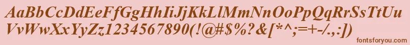 TimesNewRomanKoi8BoldItalic Font – Brown Fonts on Pink Background