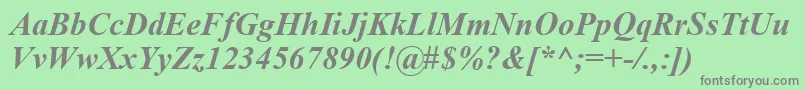 TimesNewRomanKoi8BoldItalic Font – Gray Fonts on Green Background