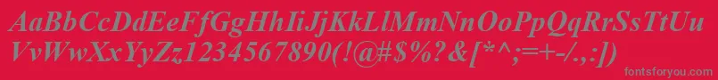 TimesNewRomanKoi8BoldItalic-Schriftart – Graue Schriften auf rotem Hintergrund