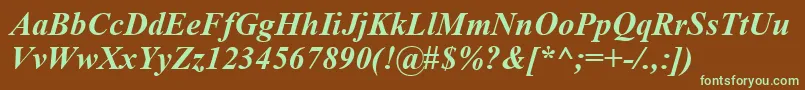 TimesNewRomanKoi8BoldItalic Font – Green Fonts on Brown Background