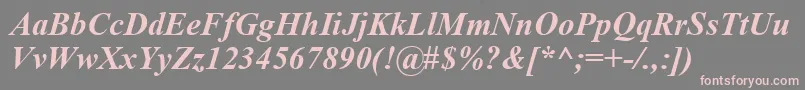 TimesNewRomanKoi8BoldItalic Font – Pink Fonts on Gray Background