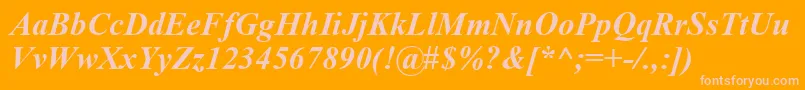 TimesNewRomanKoi8BoldItalic Font – Pink Fonts on Orange Background