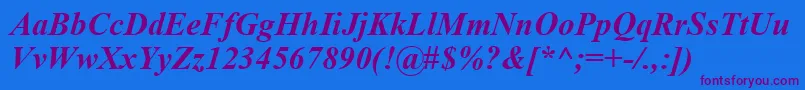 TimesNewRomanKoi8BoldItalic Font – Purple Fonts on Blue Background