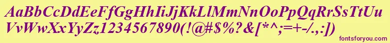 TimesNewRomanKoi8BoldItalic Font – Purple Fonts on Yellow Background
