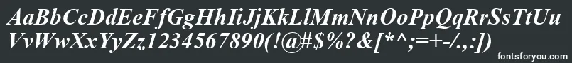 TimesNewRomanKoi8BoldItalic-fontti – valkoiset fontit mustalla taustalla