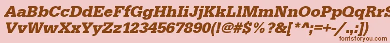 UrwegyptiennetBoldOblique Font – Brown Fonts on Pink Background