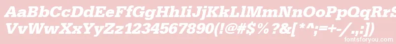 UrwegyptiennetBoldOblique Font – White Fonts on Pink Background