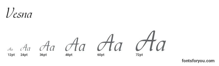 Размеры шрифта Vesna