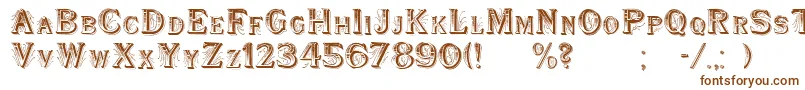 WoodenShipDecorated Font – Brown Fonts on White Background