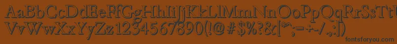 BambergshadowLightRegular Font – Black Fonts on Brown Background