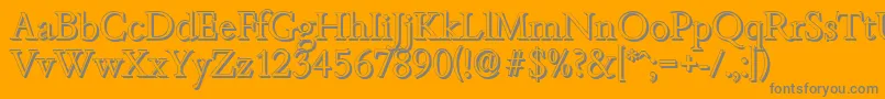 BambergshadowLightRegular Font – Gray Fonts on Orange Background