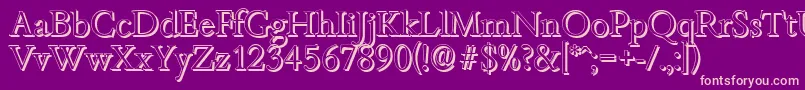 BambergshadowLightRegular Font – Pink Fonts on Purple Background