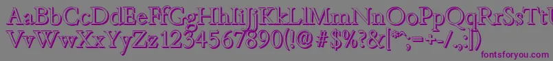 BambergshadowLightRegular Font – Purple Fonts on Gray Background
