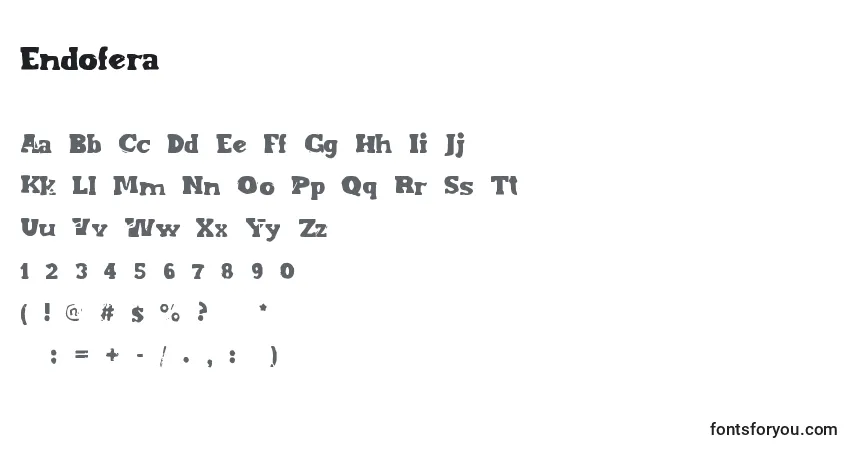 A fonte Endofera – alfabeto, números, caracteres especiais