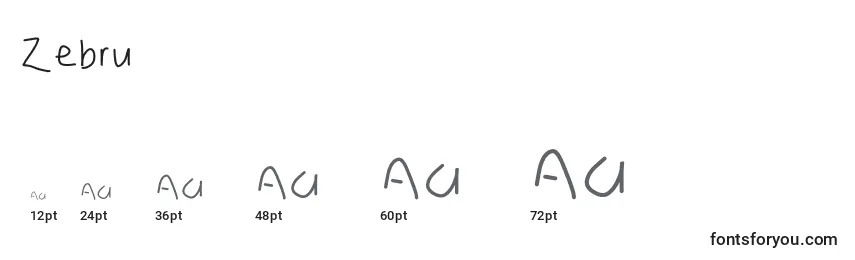 Размеры шрифта Zebru