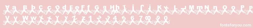 PaulPulpo Font – White Fonts on Pink Background