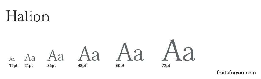 Halion Font Sizes