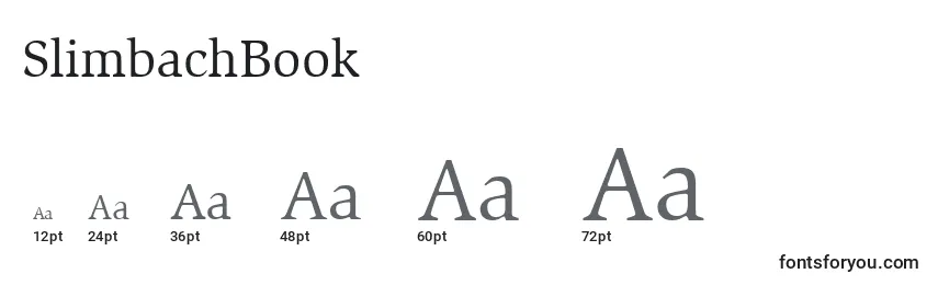 Размеры шрифта SlimbachBook