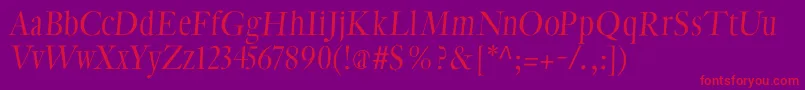 CybapeetxHeightoblique Font – Red Fonts on Purple Background
