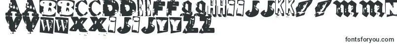 RvdGlued-fontti – hollantilaiset fontit
