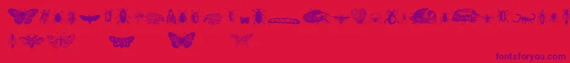 Шрифт GrissomFour – фиолетовые шрифты на красном фоне