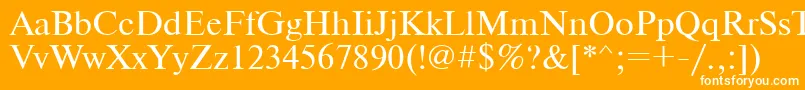 フォントTimes – オレンジの背景に白い文字