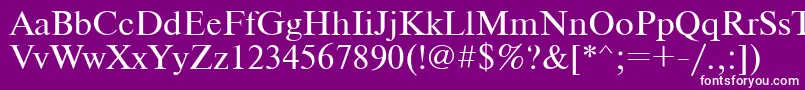 フォントTimes – 紫の背景に白い文字