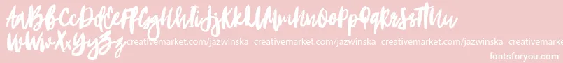 Portobesto Font – White Fonts on Pink Background